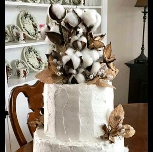 Meet your Posher, Carlene